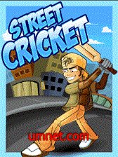 game pic for Street Cricket